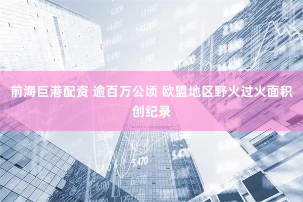 前海巨港配资 逾百万公顷 欧盟地区野火过火面积创纪录