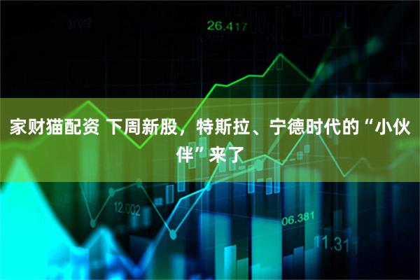 家财猫配资 下周新股，特斯拉、宁德时代的“小伙伴”来了